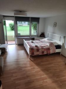 Gallery image of City Apartment in Radolfzell am Bodensee