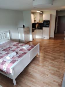 Gallery image of City Apartment in Radolfzell am Bodensee