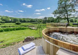 Loodusmaastik puhkemaja lähedal +47 fotot