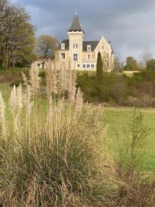 a large house in a field with tall grass at Chateau de Bellevue B&B et Appartements avec Piscine saisonal chauffée et Chambres partout climatisées in Saint-Avit