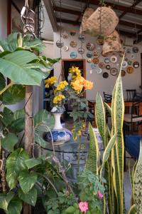 Zahrada ubytování Casa Betancourt Salinas
