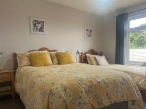 a bedroom with two beds and a window at Moneydarragh Cottage with uninterrupted mountain and sea views- Hot tub available for hire at extra cost in Annalong
