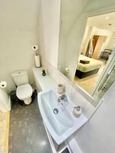 un bagno con lavandino, WC e specchio di Cambridge City Centre Studio, Sleeps 3 a Cambridge
