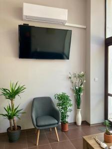 TV a/nebo společenská místnost v ubytování Balkan Aparts