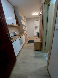 Kuchyňa alebo kuchynka v ubytovaní Apartman Davidovic MD 1 Divcibare