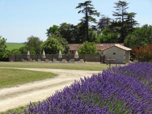 Zahrada ubytování Gîte Les écureuils + 15 fotografií