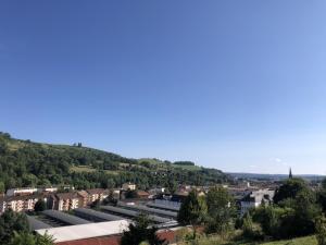 a view of a city with buildings and trees at Mini Studio avec Terrasse in Aurillac +3 photos