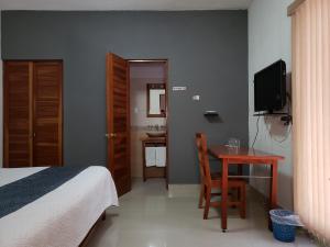 TV a/nebo společenská místnost v ubytování Hotel Pastora