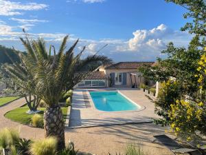 a villa with a palm tree and a swimming pool at Studio le soleil couchant in Saint-Saturnin-lès-Avignon