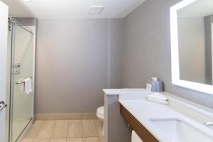 a bathroom with a sink and a toilet and a mirror at Holiday Inn Express - Grand Island by IHG in Niagara Falls