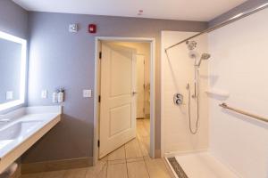 a bathroom with a shower and a sink at Holiday Inn Express - Grand Island by IHG in Niagara Falls
