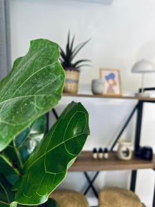 Gallery image of Blue Cozy Nest in Rhodes Town