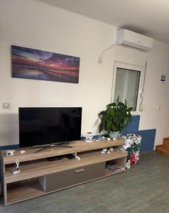TV a/nebo společenská místnost v ubytování Vila Vujošević