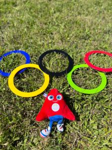 L'oasis de l'Yonne في Migennes: مجموعة من المقابض ذات الألوان المختلفة على العشب