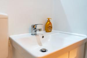 un lavandino del bagno con un distributore di sapone sopra di Spacious, Luxurious, and Charming Apartment in Premium Porto Location with PARKING a Porto Altre 39 foto