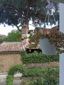 Zahrada ubytování B&B Guesthouse La Casetta Di Sutri sulla Francigena