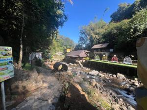 リゾートの近くで見られる自然の景観