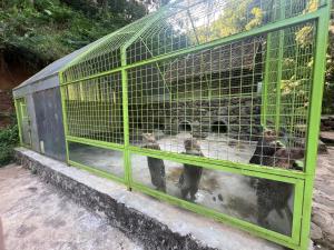 リゾートの敷地内または近くにいる動物