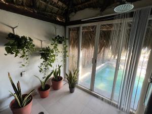 Bazén v ubytování EcoPalapa Mimí nebo v jeho okolí