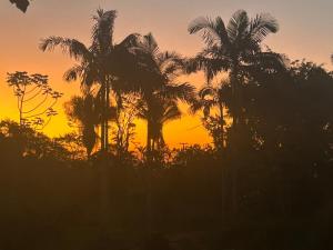 a group of palm trees in front of a sunset at Pousada Vale do Sol in Pariqueraçu +4 photos