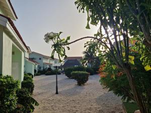 Um jardim no exterior de Apartment "Always SUNday", Lagoon Ocean Resort