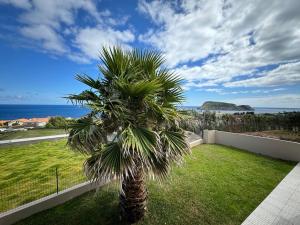 a palm tree in a yard with the ocean in the background at Azores Treasure in Angra do Heroísmo