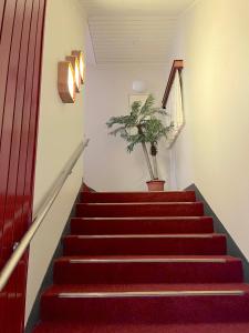 Fotografie z fotogalerie ubytování Hua Guo Hotel v destinaci Ťi-lung