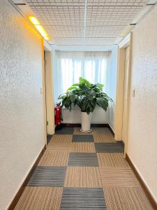 Fotografie z fotogalerie ubytování Hua Guo Hotel v destinaci Ťi-lung