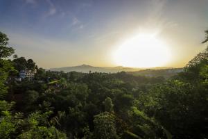 vista sul tramonto su una foresta di Cielo Residence a Kandy