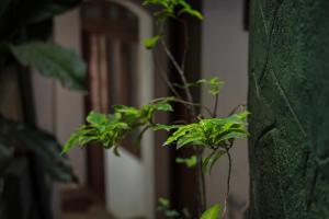 Giardino di Cielo Residence