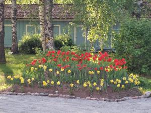 Zahrada ubytování Taideniityn huoneistot Aurinko ja Niitty 1 - 4lle