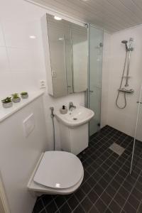 a bathroom with a toilet and a sink and a shower at Holiday Apartment Aava 5 in Rovaniemi