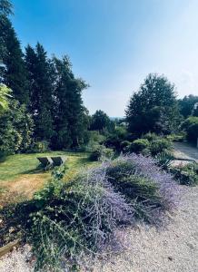 Příroda nedaleko bed and breakfast