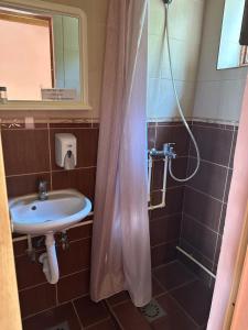 Un baño de Guest house Pikec