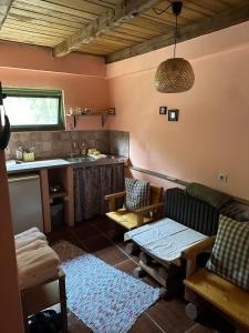 Una cocina o zona de cocina en Guest house Pikec