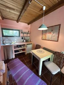 Una cocina o zona de cocina en Guest house Pikec