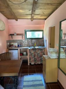 Una cocina o zona de cocina en Guest house Pikec