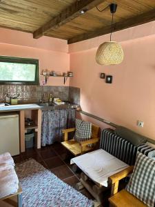 Una cocina o zona de cocina en Guest house Pikec