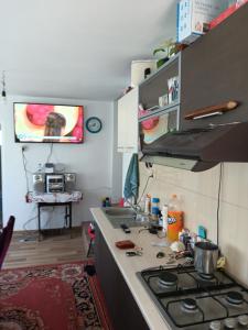 a kitchen with a sink and a stove top oven at Casa Dan Proco in Somova