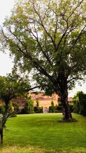 Zahrada ubytování Saba Haveli