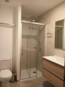 une salle de bain avec une douche, des toilettes et un lavabo dans l'établissement Apartamentos Rural La Perla, à Becilla de Valderaduey 4 autres photos