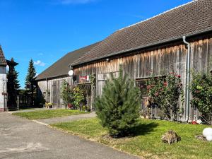 an old barn with a christmas tree in front of it at Ferienwohnung auf dem Alpaka-Hof in Rubkow