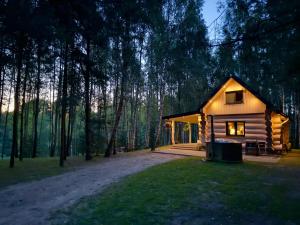 a log cabin in the woods with lights on at Leśne Klimaty in Smolniki