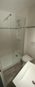 a bathroom with a shower and a toilet at Grand Hôtel in Saint-Père-en-Retz