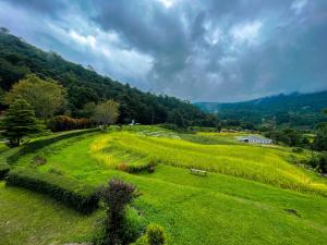 a park with a bench in the middle of a field at Angha forest view บ้านพิงใจ in Ban Sop Mae Klang
