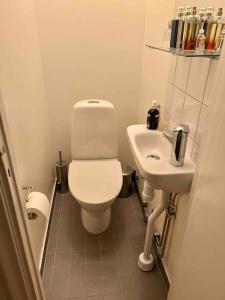 a small bathroom with a toilet and a sink at Modern lägenhet med balkong in Stockholm +3 photos
