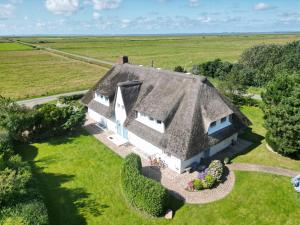 阿克斯姆Sylthaus的茅草屋顶房屋的顶部景色