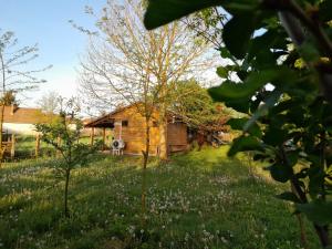 a house in the middle of a grassy yard at Csónakház in Tiszadob