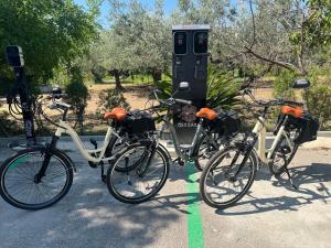 a group of bikes parked next to a parking meter at Follow Me B&B in San Salvo +20 photos