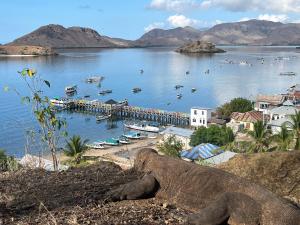een grote hoeveelheid water met boten en een dok bij Bram Komodo Homestay in Komodo
